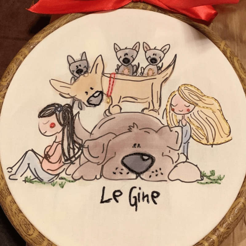 casette per cani