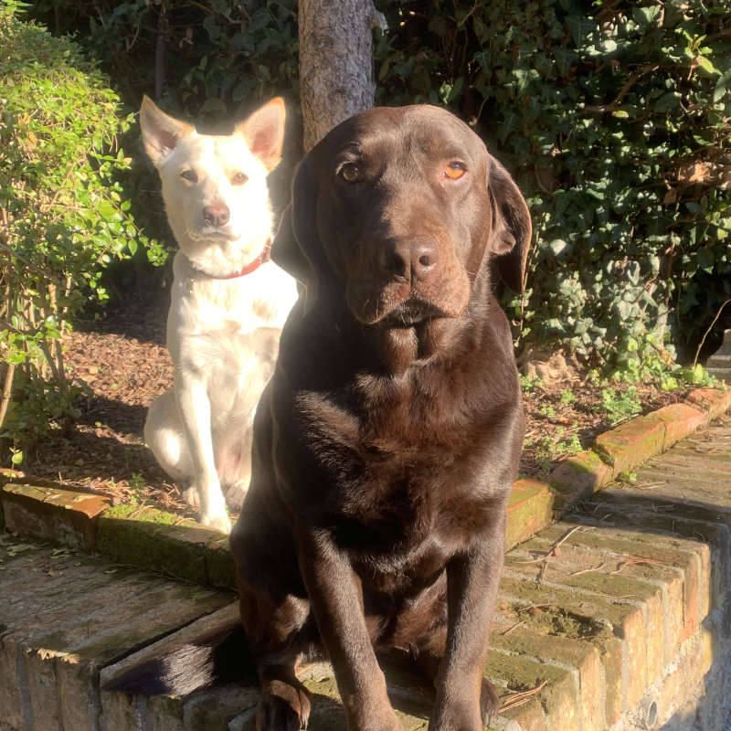 gina e cuba